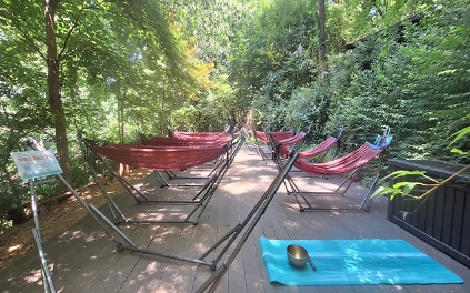 124[강동구]일자산 치유의 숲길- 산림치유 프로그램(화~토) 사진