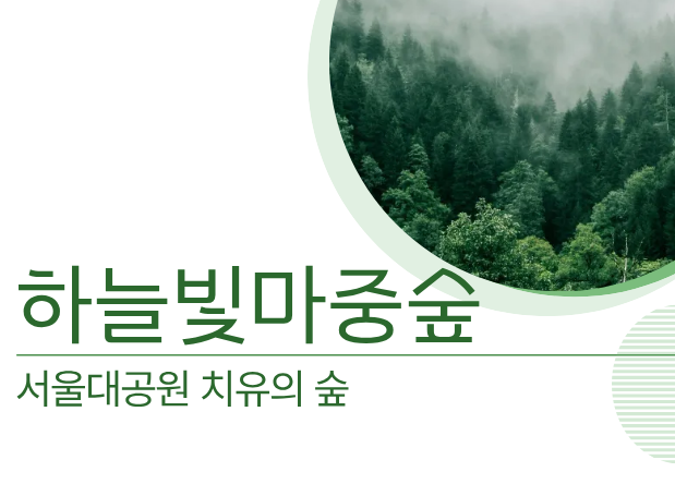 [치유의 숲길]서울대공원 치유의 숲, 하늘빛마중숲(개인용)