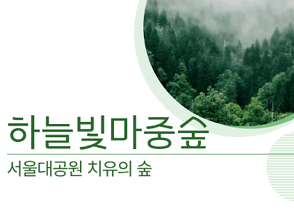 124[치유의 숲길]서울대공원 치유의 숲, 하늘빛마중숲(개인용) 사진