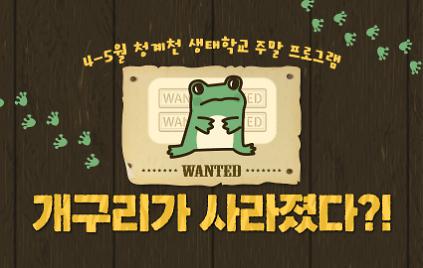 124(4~5월)(토)[청계천 생태학교]개구리가 사라졌다?!(양서류 생태체험 프로그램) 사진