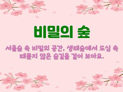 124(4월, 수요일) 서울숲 비밀의 숲(성인, 단체) 사진