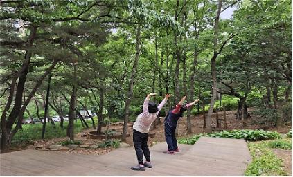 1242026년 송파구 천마공원 산림치유프로그램 사진