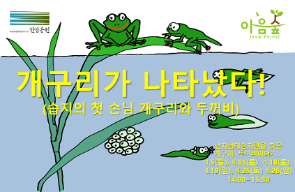 124(난지생태습지원/특화) 개구리가 나타났다 사진