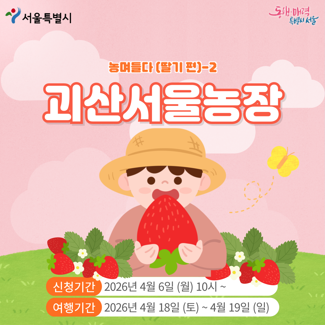 [괴산서울농장] 농며들다-딸기편2 (260418)