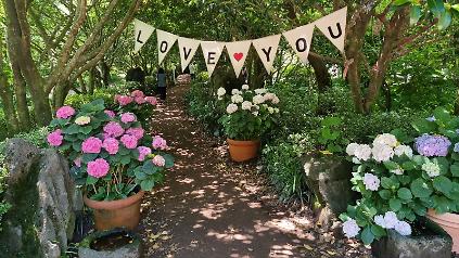 124[동대문구]정원처방 사진