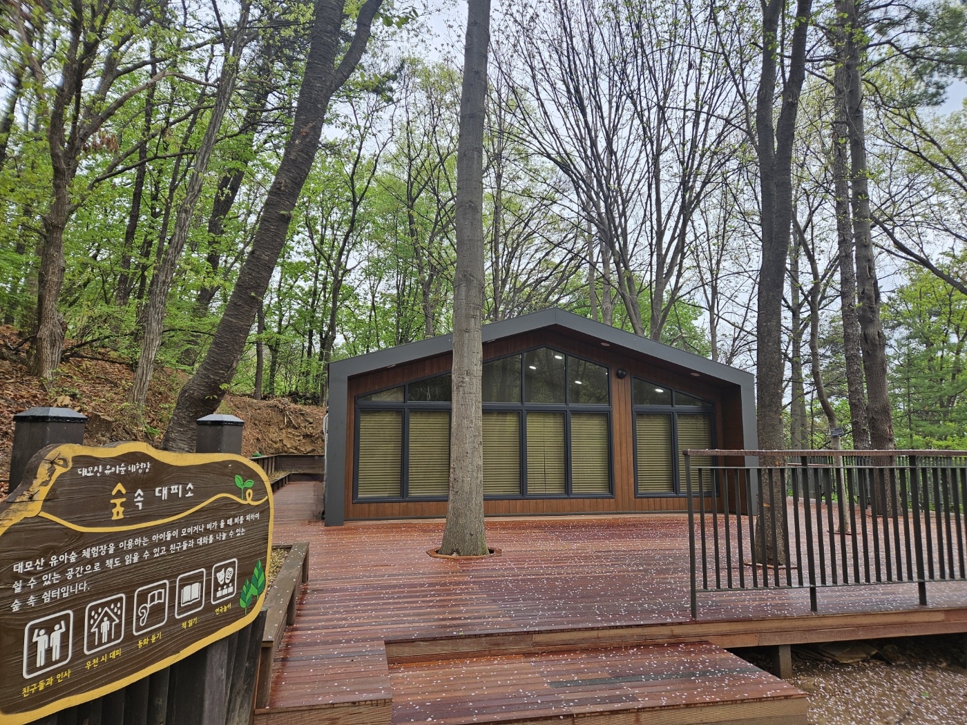 (주말가족)대모산유아숲