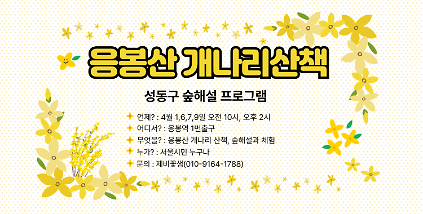 124[성동구] 숲해설 응봉산 개나리꽃산책 사진