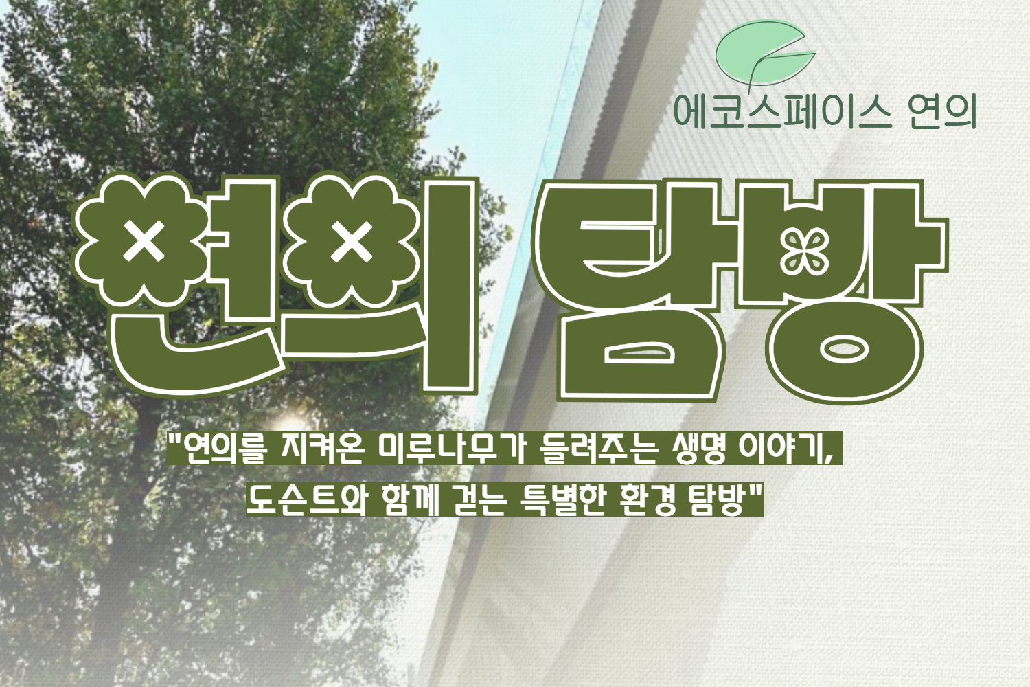 (일)4월 연의 탐방