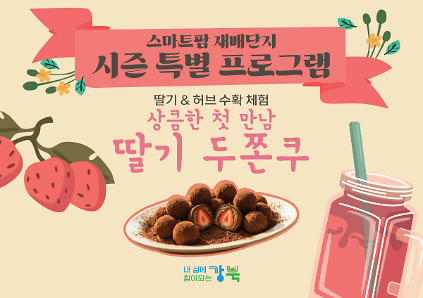 124(딸기 시즌)강북구 스마트팜 재배단지 특별 프로그램 사진