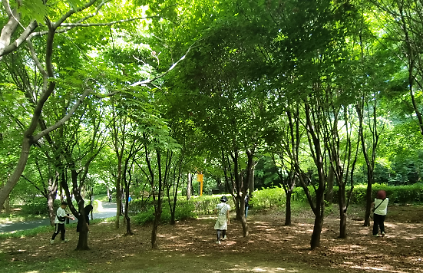 124[강동구/숲해설] 일자산 숲속 보물 찾기 사진