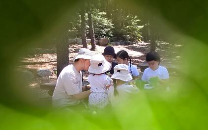 [관악구] 토요숲 감성산책(성인)(토요일) 사진