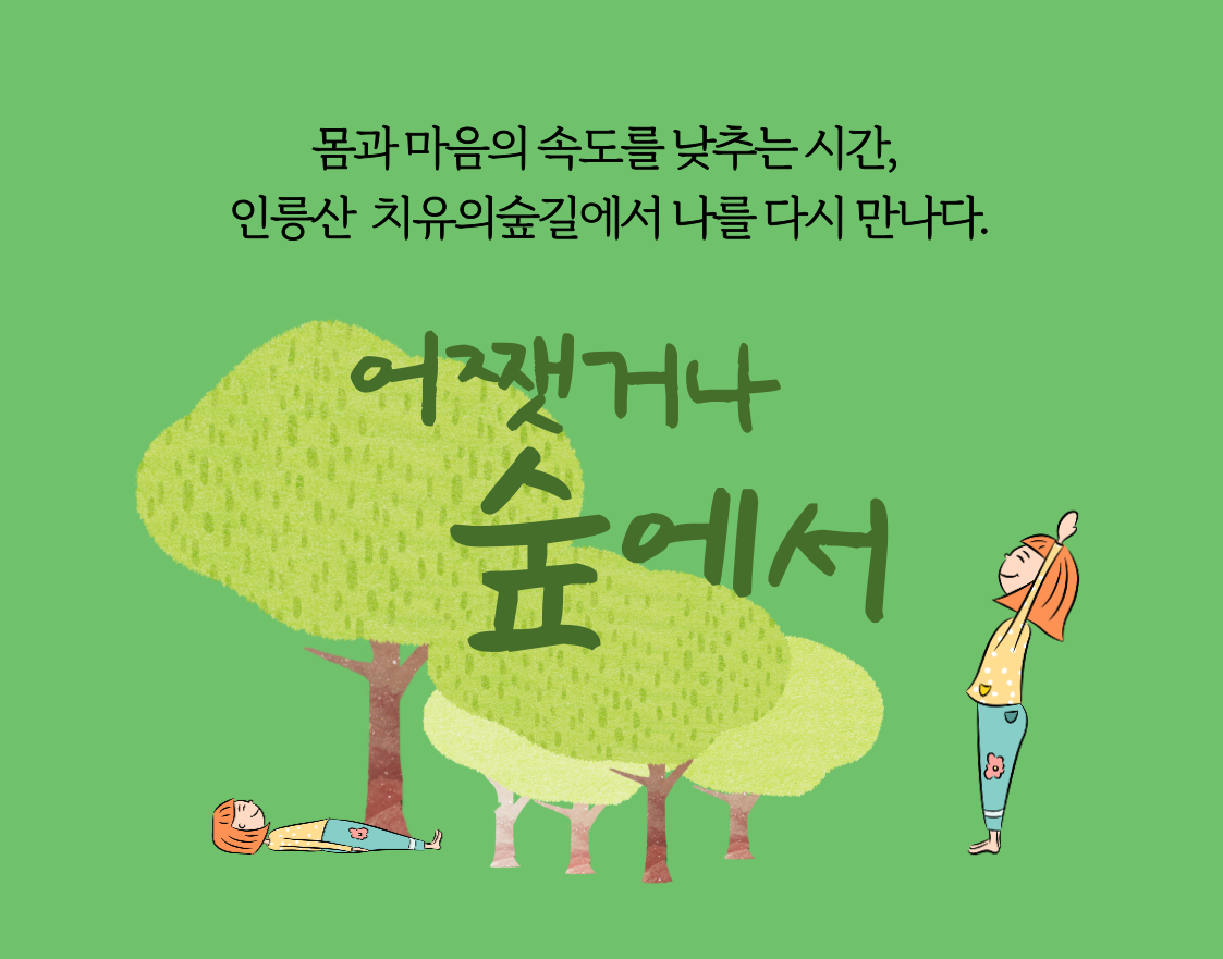 [서초구] 인릉산 치유의 숲 길