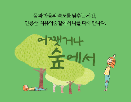 [서초구] 인릉산 치유의 숲 길 사진