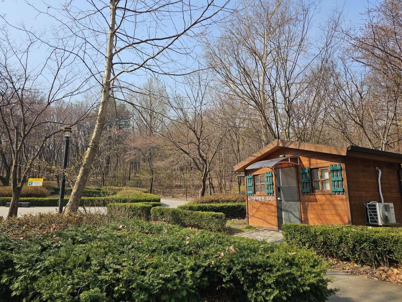 [강동구 앨리스유아숲] 4월 25일 (토) 오전10시 가족과 함께하는 숲체험  "숲에서 보내 온 초대장"