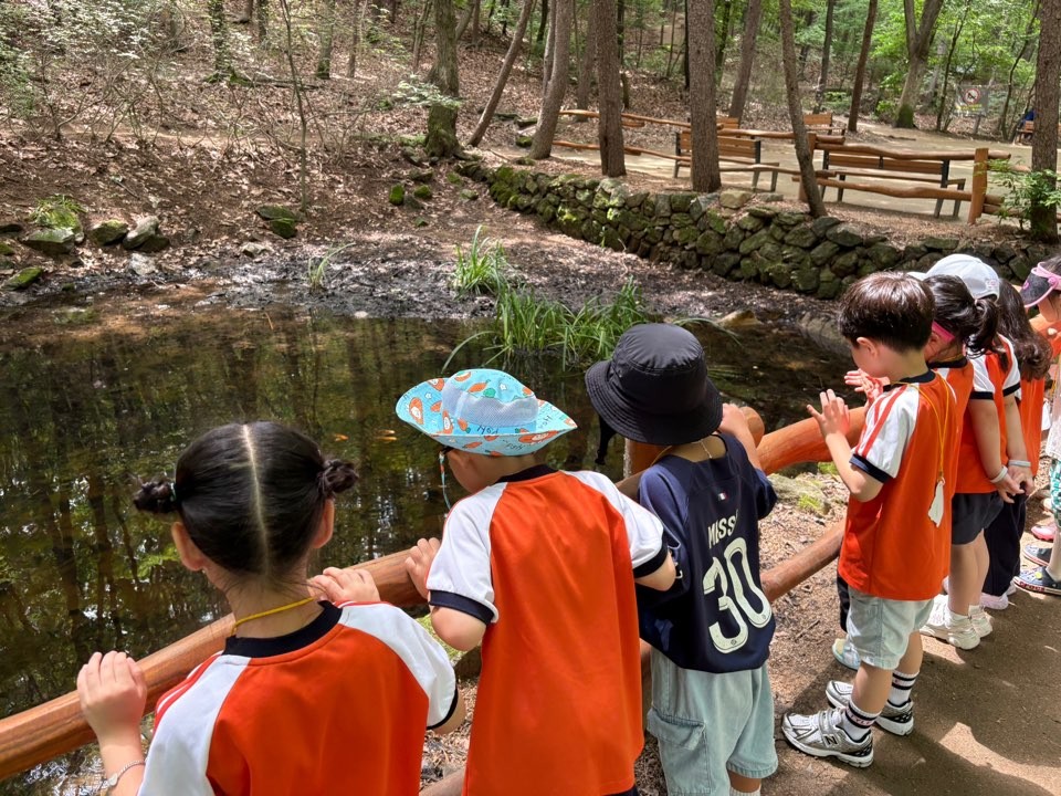 [노원구, 노원골 유아숲체험원] 시설체험(화~목, 오후 13시~15시)