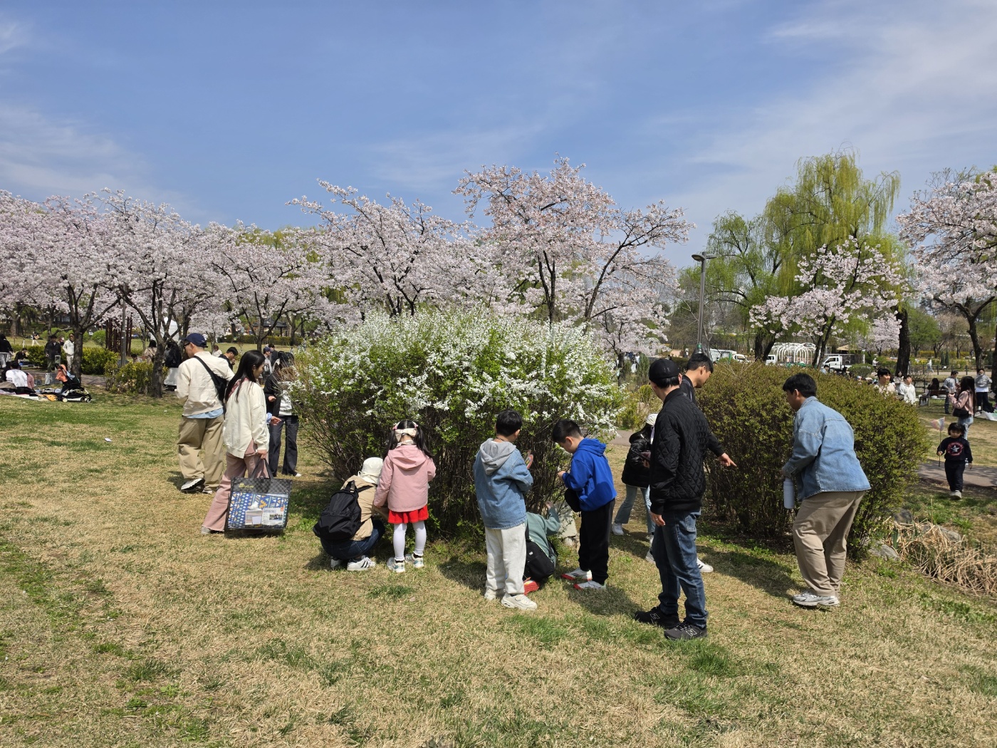 꽃과 나무의 비밀 (가족숲체험)