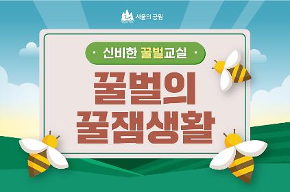 124(수,목)신비한 꿀벌교실 꿀벌의 꿀잼생활 사진