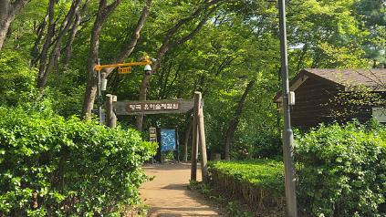 124[관악구]당곡유아숲체험원,  함께 걷자! 오후의 숲길 산책 (주중 월요일) 사진