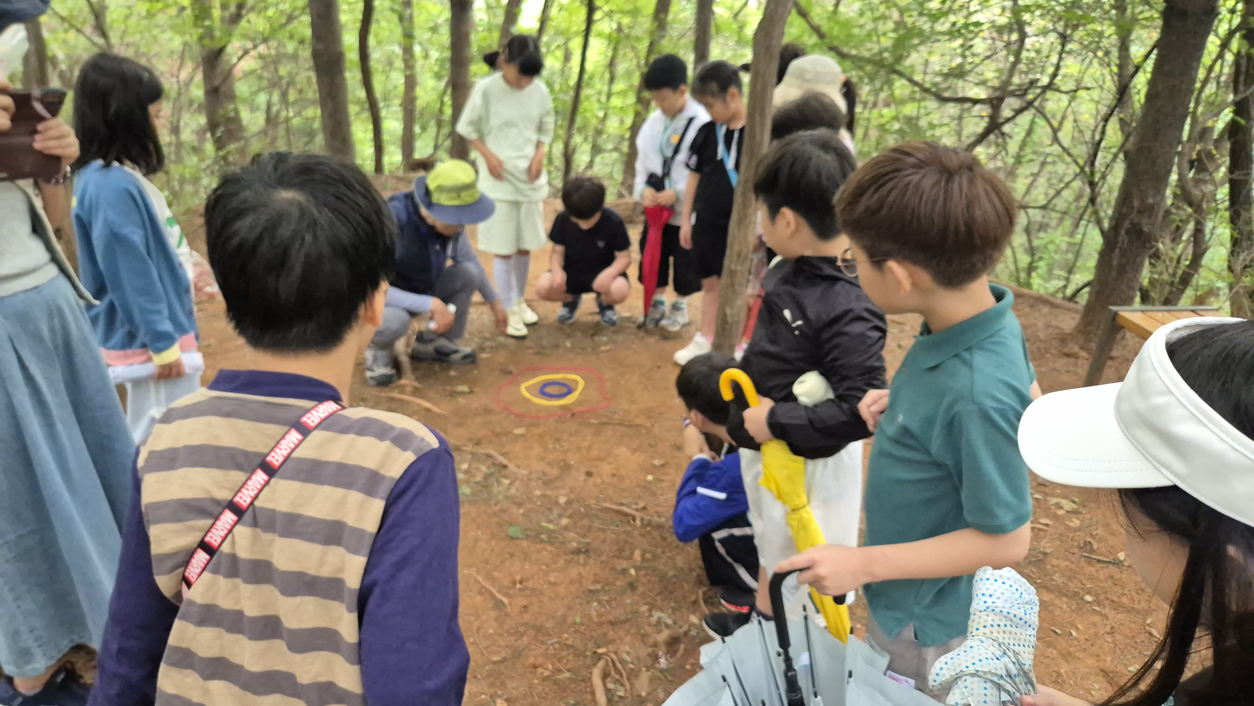 (주말)마포구숲해설 매봉산 숲나들이