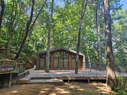 1245월 (주말가족)대모산유아숲 사진