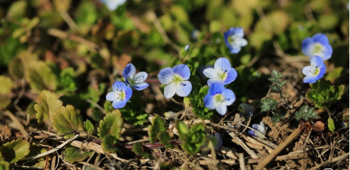 [성북구](주말) 2026년 5월 오동공원 숲길여행