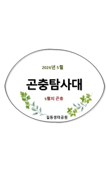 124길동 곤충탐사대(5월)  사진