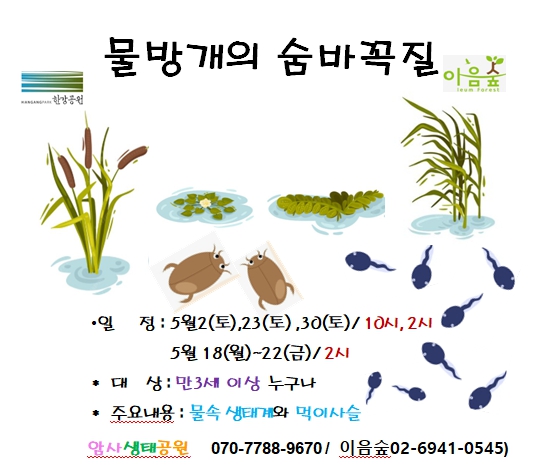 물방개의 숨바꼭질