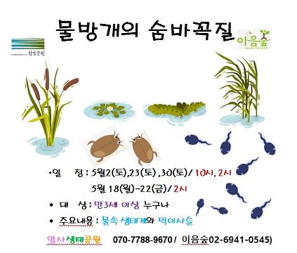 124물방개의 숨바꼭질 사진