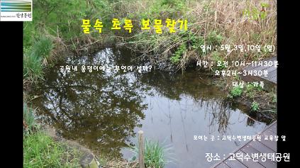 124(고덕)(일) 물속 초록 보물찾기 사진