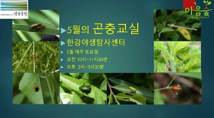124(한강야생탐사센터/특화)(토) 5월의 곤충교실 사진