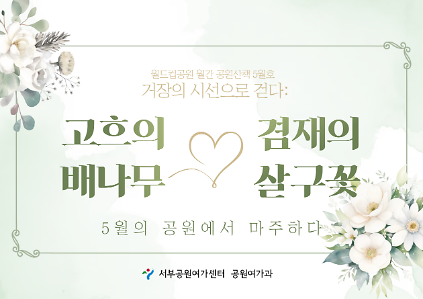 124[월드컵공원] 월간 공원산책 5월호 : 고흐의 배나무VS겸재의살구꽃 사진