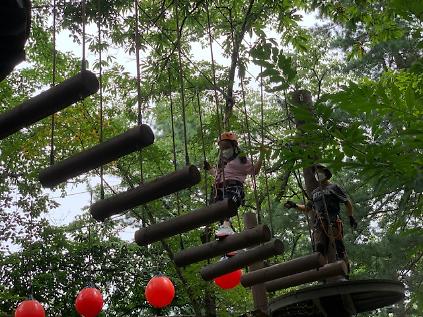 124(4월-11월, 유료, 신장 140cm이상) 관악산 모험숲: 기분up 트리 어드벤처 (관악산 으뜸공원 주차장 이용) 사진