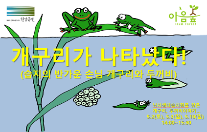 124(난지생태습지원/어린이날 특화) 개구리가 나타났다 사진