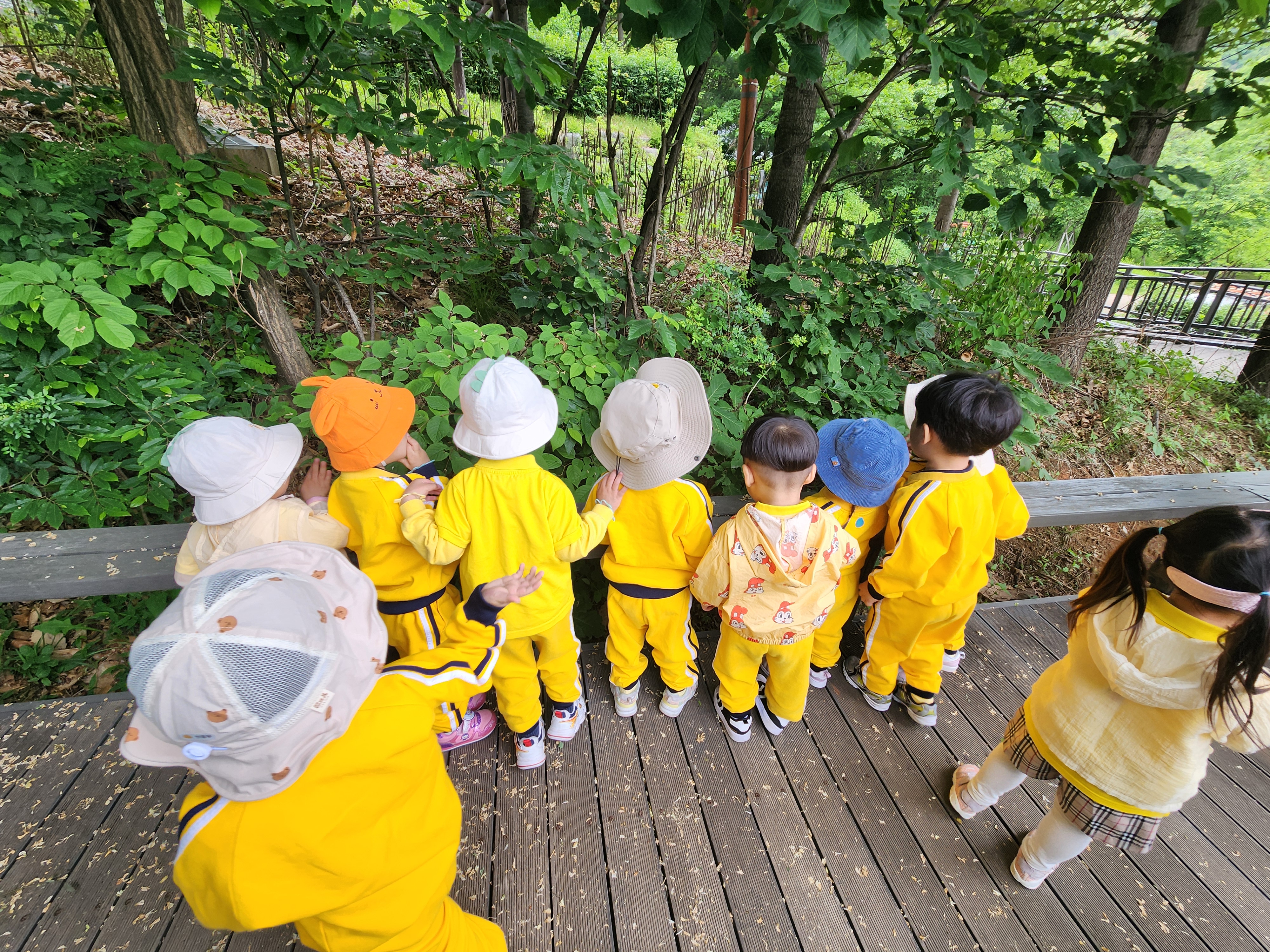 (중랑구)구릉산자연체험학교 - 5월 계절별 숲 체험 및 생태 놀이-(유아 단체/개인/가족)