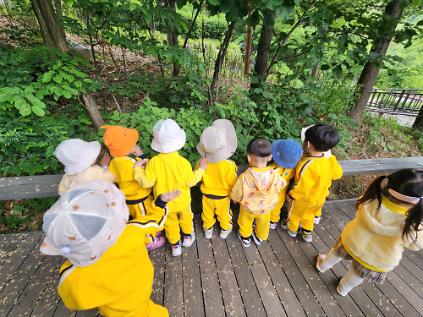 124(중랑구)구릉산자연체험학교 - 5월 계절별 숲 체험 및 생태 놀이-(유아 단체/개인/가족) 사진