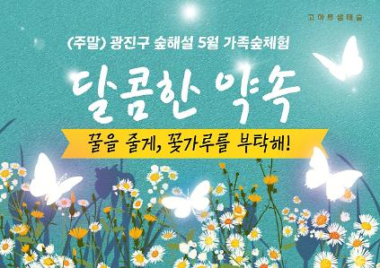 124(5월)광진구숲해설-가족,성인 주말숲체험 사진