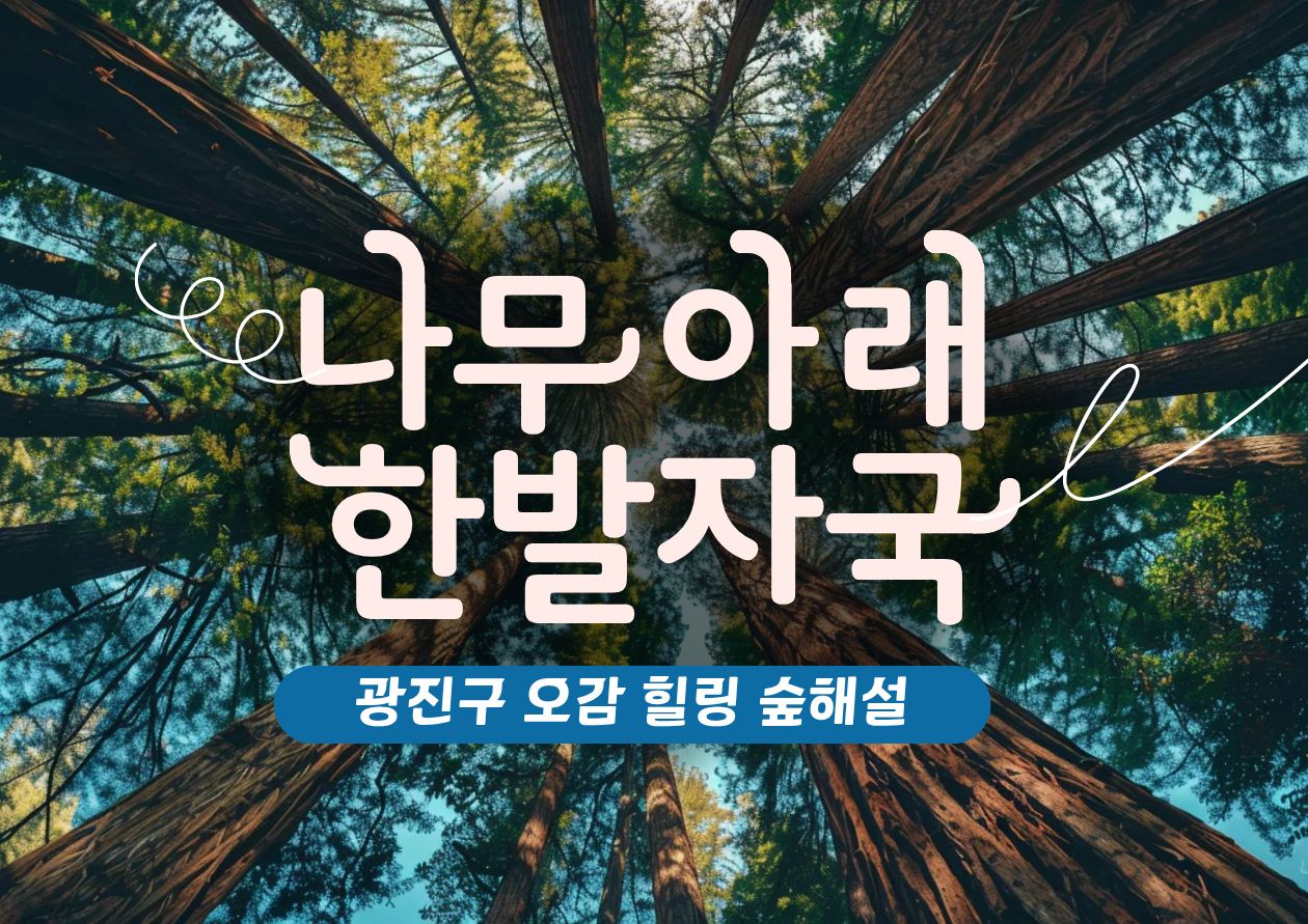(5~11월)광진구숲해설- 나무아래 힐링체험