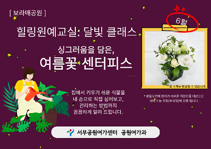 124[보라매공원] 힐링원예교실: 달빛 클래스(6월) 사진