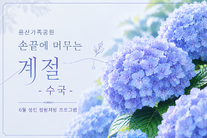 124(토) 손끝에 머무는 계절 - 수국책갈피 (성인) 사진