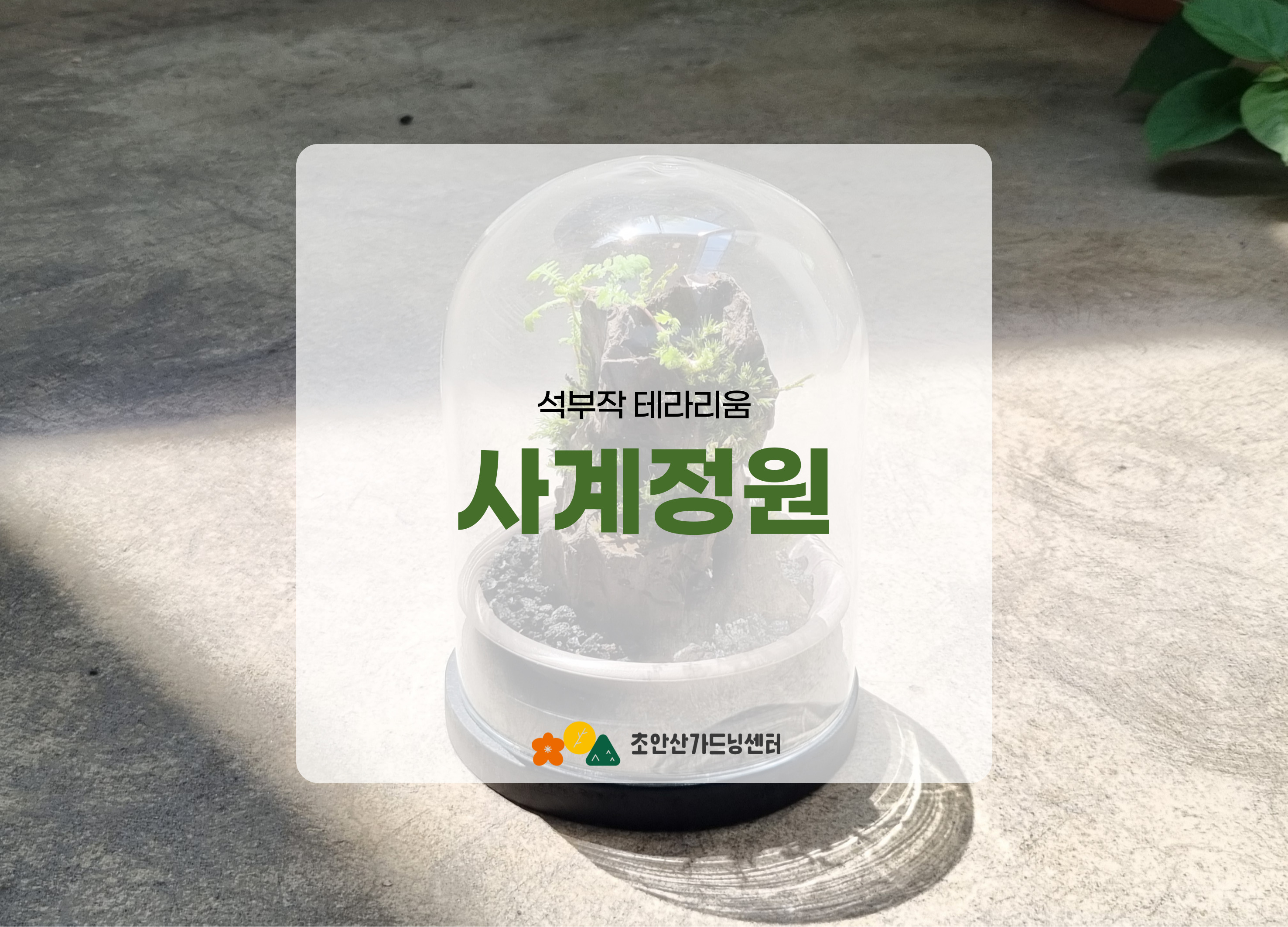 [초안산가드닝센터][주말][토요일]6,7월/가드닝/사계정원