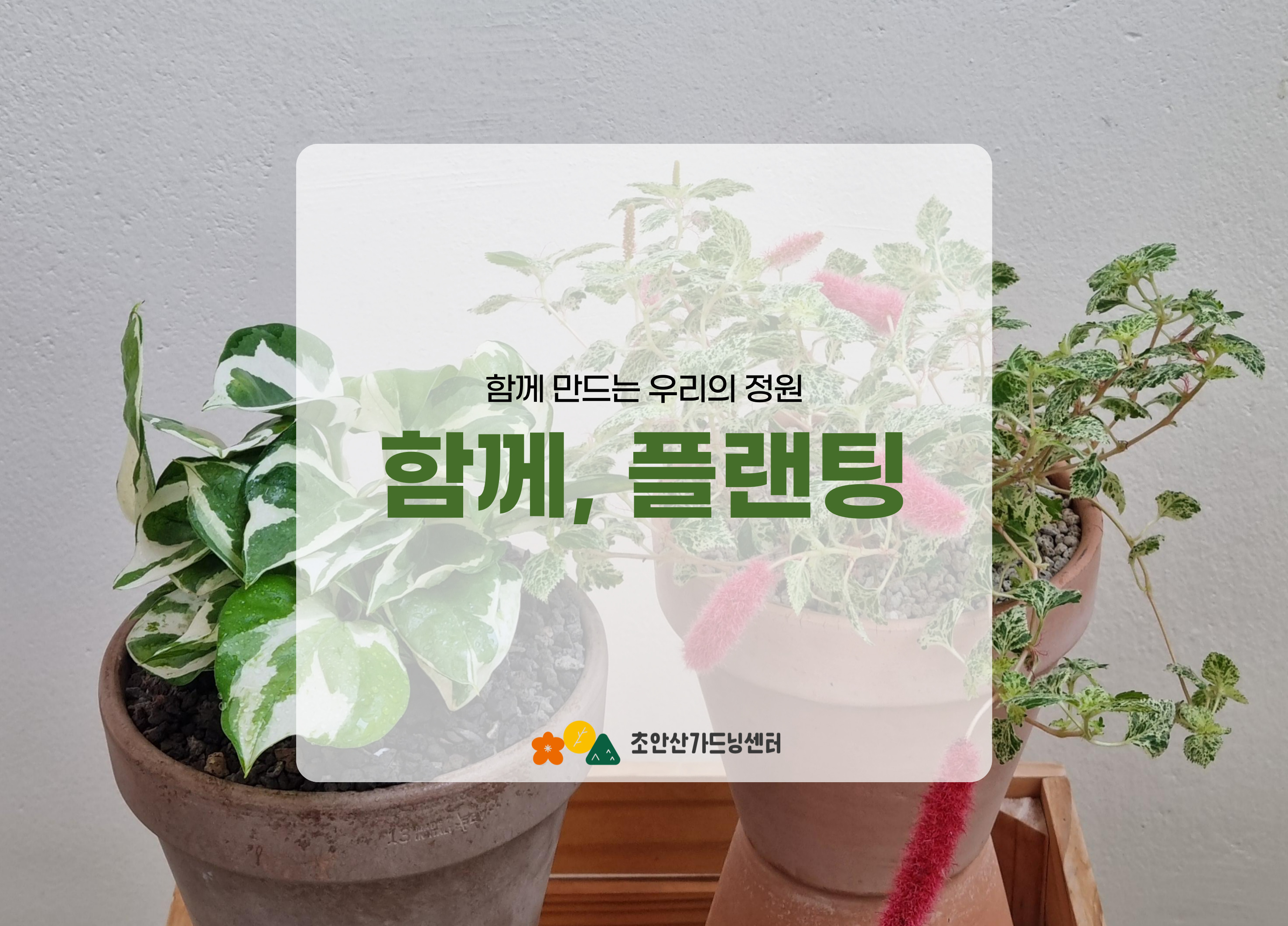 [초안산가드닝센터][주말][토요일]6,7월/가드닝/함께, 플랜팅