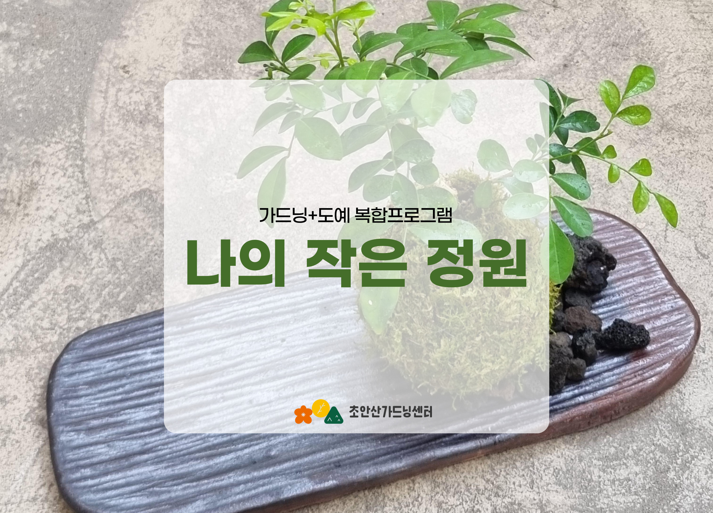 [초안산가드닝센터][주말][토요일]6,7월/가드닝+도예/나의작은정원