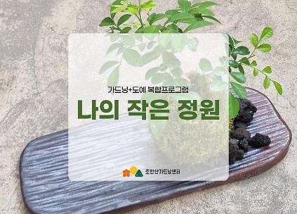 124[초안산가드닝센터][주말][토요일]6,7월/가드닝+도예/나의작은정원 사진