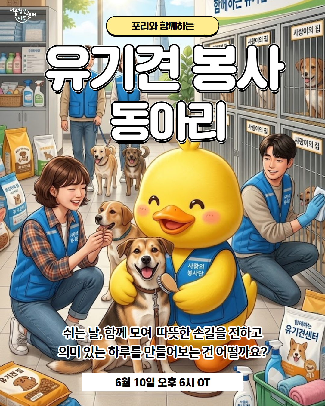  서울청년센터 마포 <유기견 봉사 동아리> 참여자 모집 안내