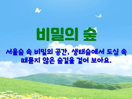 124(6월, 수요일) 서울숲 비밀의 숲(성인, 단체) 사진