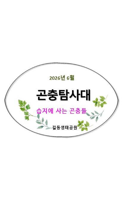 124길동 곤충탐사대(6월, 습지곤충)  사진