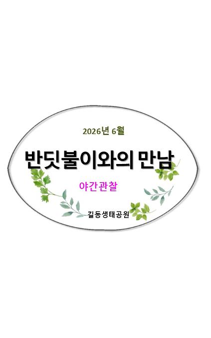 124반딧불이와의 만남(6월, 야간) 사진