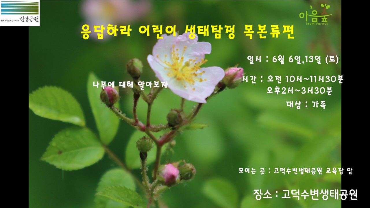 (고덕)(토) 응답하라 어린이 생태탐정 목본류편