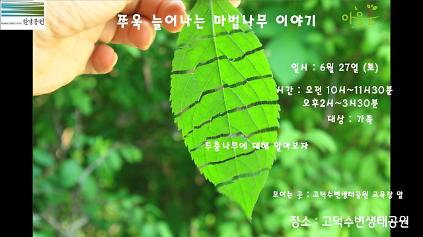124(고덕)(토) 쭈욱 늘어나는 마법나무 이야기 사진