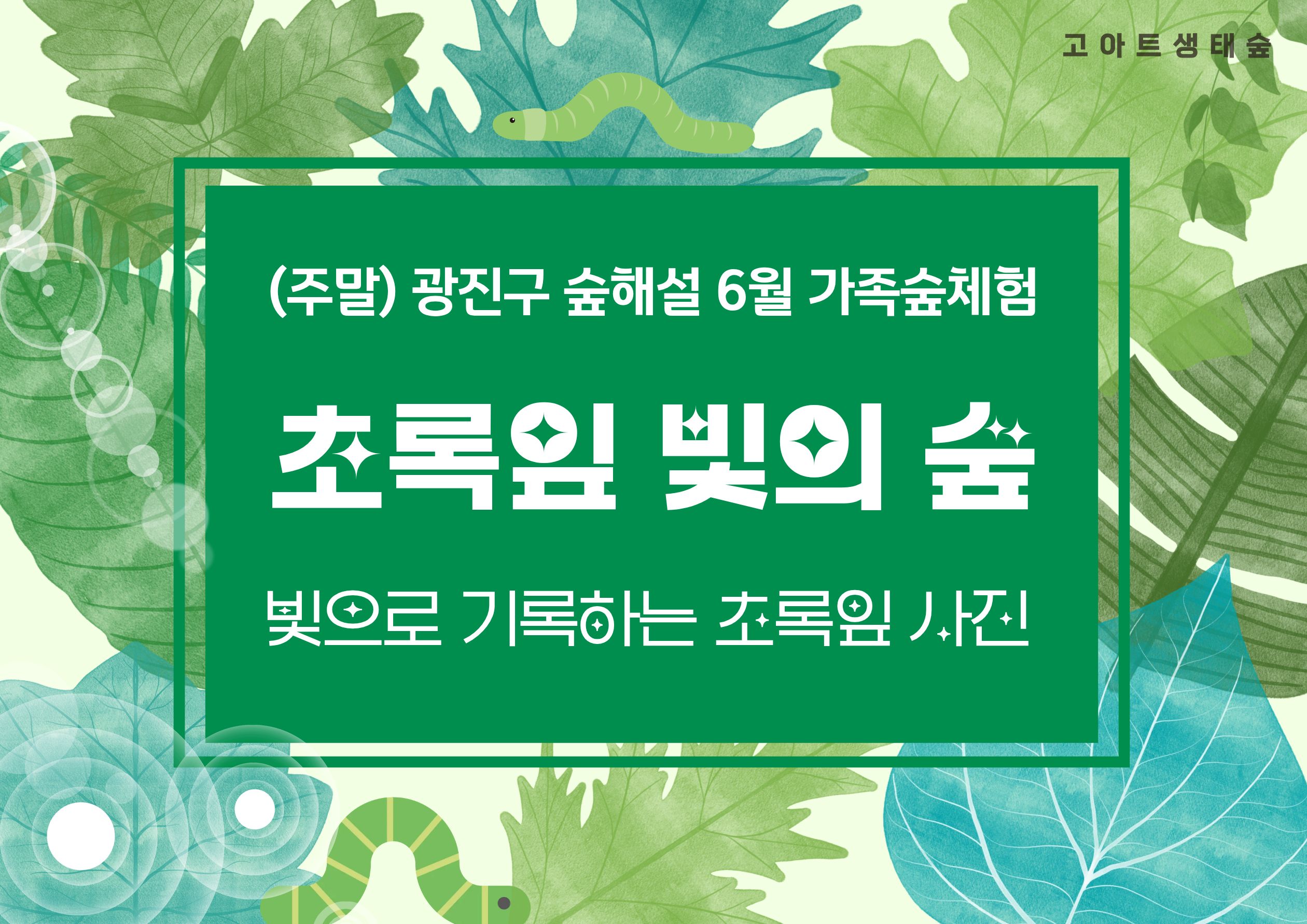 광진구숲해설-성인,가족 주말숲체험(6,7월)